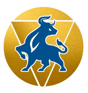 Vsquare groups logo